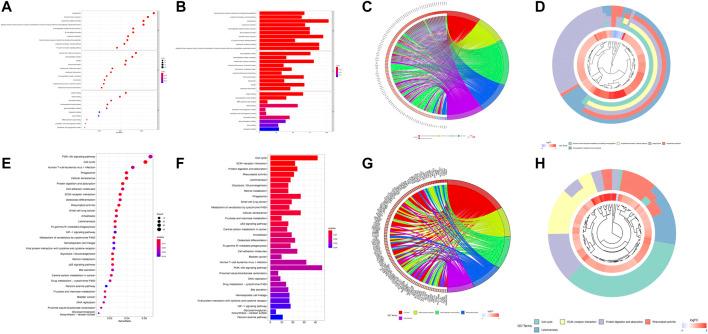 https://cdn.ncbi.nlm.nih.gov/pmc/blobs/f9b6/9195296/3b926db31059/fcell-10-779269-g005.jpg