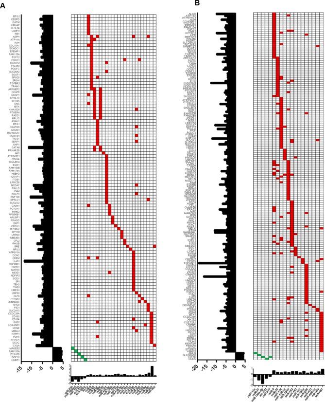 https://cdn.ncbi.nlm.nih.gov/pmc/blobs/f9b9/4627080/7c3abdd7ab47/gkv908fig4.jpg