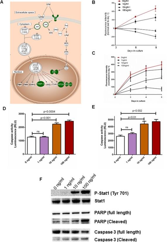 https://cdn.ncbi.nlm.nih.gov/pmc/blobs/f9b9/4627080/fb1137acb395/gkv908fig6.jpg