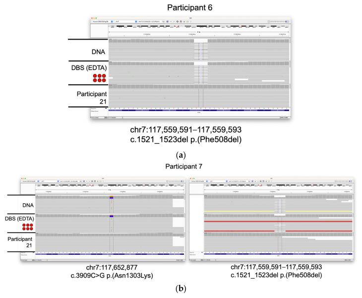 https://cdn.ncbi.nlm.nih.gov/pmc/blobs/f9ba/10532340/607883a4fd2a/IJNS-09-00052-g003a.jpg