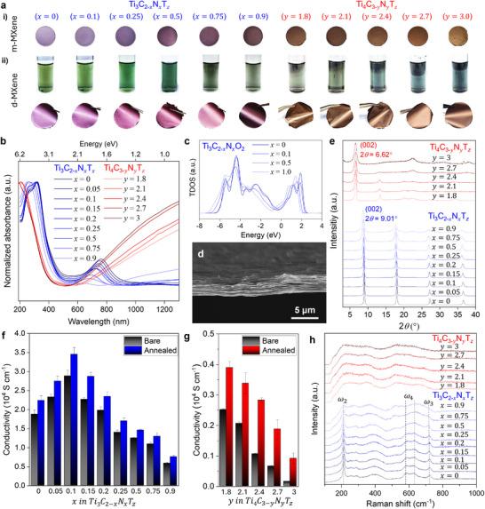 https://cdn.ncbi.nlm.nih.gov/pmc/blobs/f9ba/12243716/b8e179c719df/ADMA-37-2502443-g005.jpg