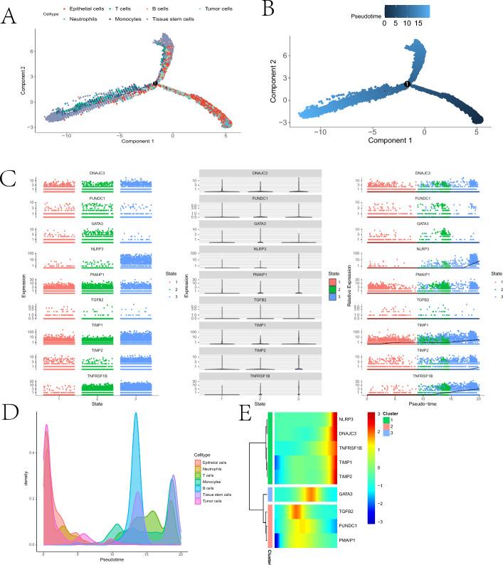 https://cdn.ncbi.nlm.nih.gov/pmc/blobs/f9bb/12274188/2d9bc849786c/12672_2025_3114_Fig7_HTML.jpg