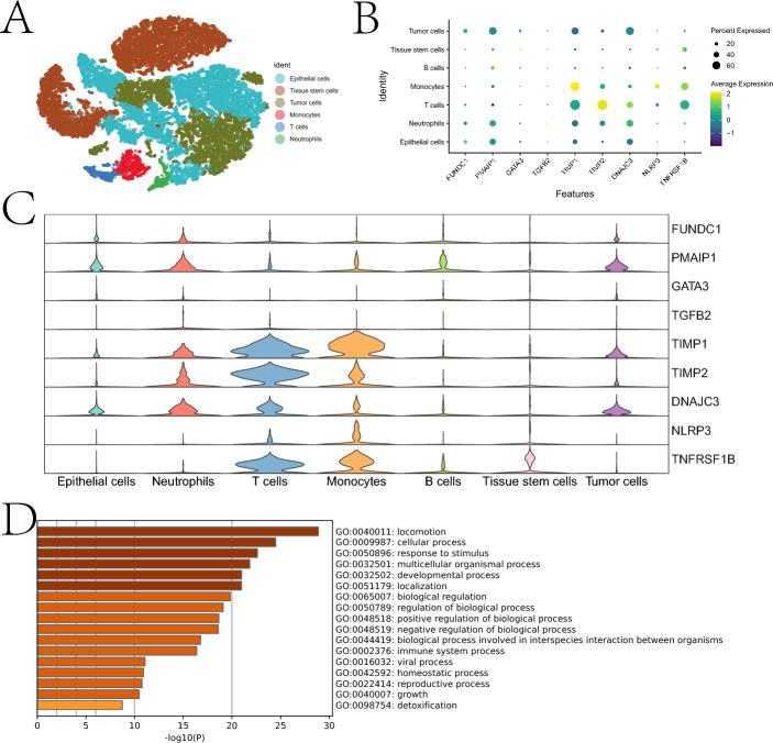 https://cdn.ncbi.nlm.nih.gov/pmc/blobs/f9bb/12274188/92f81392cf2b/12672_2025_3114_Fig6_HTML.jpg