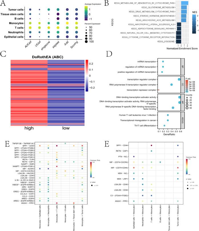 https://cdn.ncbi.nlm.nih.gov/pmc/blobs/f9bb/12274188/cdf7951504ef/12672_2025_3114_Fig8_HTML.jpg