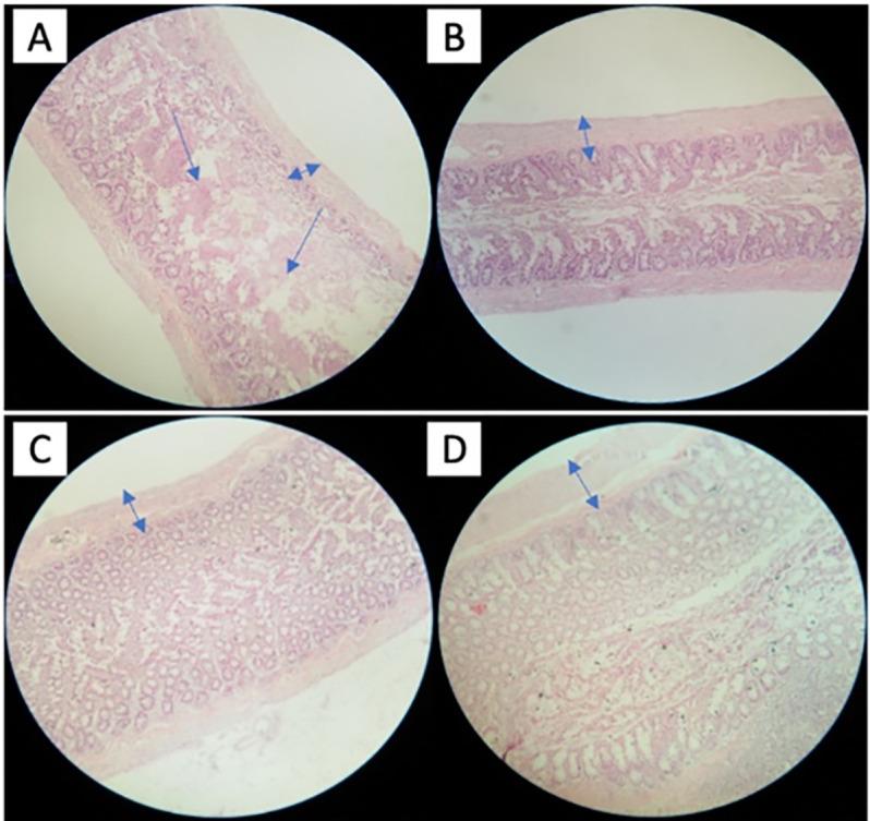 https://cdn.ncbi.nlm.nih.gov/pmc/blobs/f9bb/9109903/bc84a9c4ba41/pone.0267318.g001.jpg