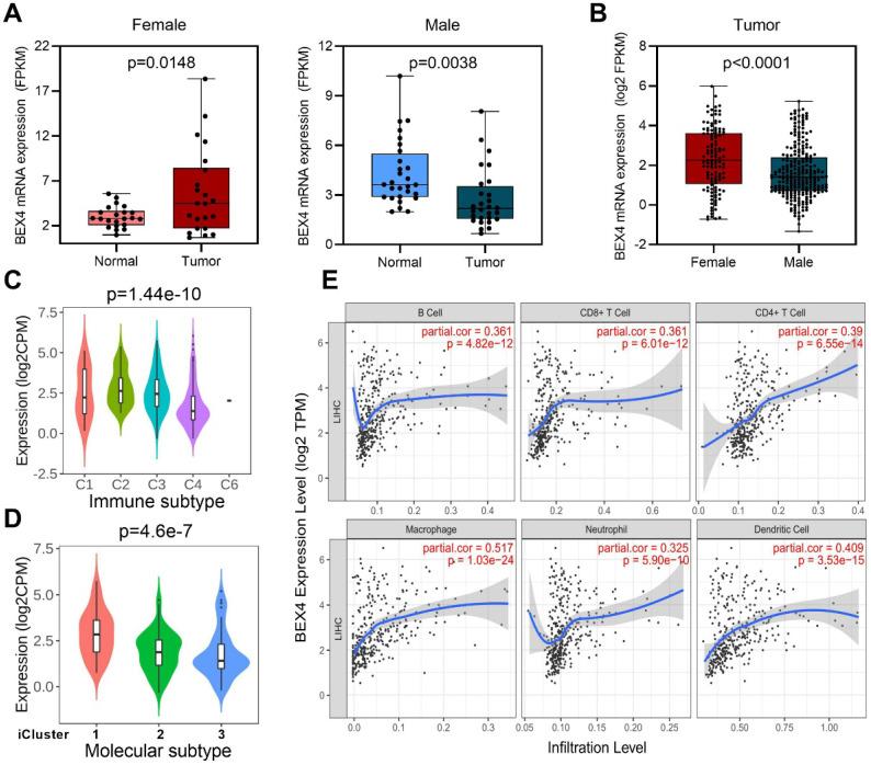 https://cdn.ncbi.nlm.nih.gov/pmc/blobs/f9bc/9475366/4fea42eceb1e/jcav13p3221g007.jpg