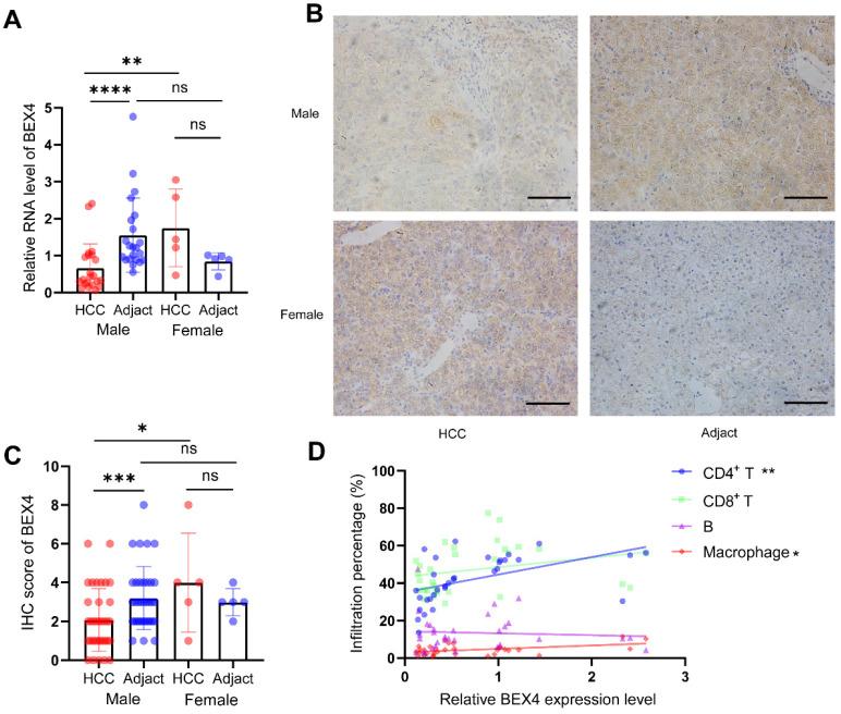 https://cdn.ncbi.nlm.nih.gov/pmc/blobs/f9bc/9475366/818c1f9b059a/jcav13p3221g008.jpg