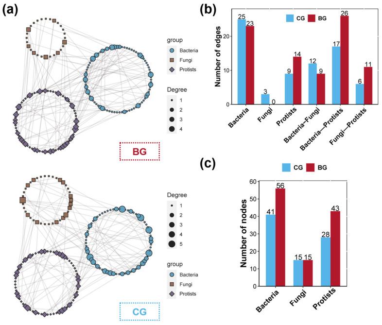 https://cdn.ncbi.nlm.nih.gov/pmc/blobs/f9bd/11676288/99cb074ab490/microorganisms-12-02550-g004.jpg