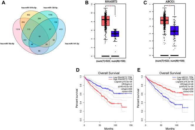 https://cdn.ncbi.nlm.nih.gov/pmc/blobs/f9bd/9355293/8fd5281cecfc/fgene-13-897827-g005.jpg