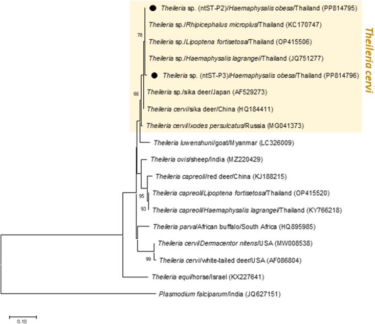 https://cdn.ncbi.nlm.nih.gov/pmc/blobs/f9bf/11550210/70293b24db9a/gr8.jpg