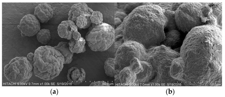https://cdn.ncbi.nlm.nih.gov/pmc/blobs/f9bf/6152142/991ef24784f2/molecules-22-01105-g002.jpg