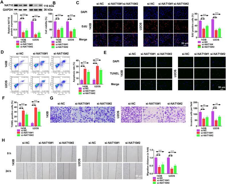 https://cdn.ncbi.nlm.nih.gov/pmc/blobs/f9c0/12296524/00c66ac87102/gr2.jpg