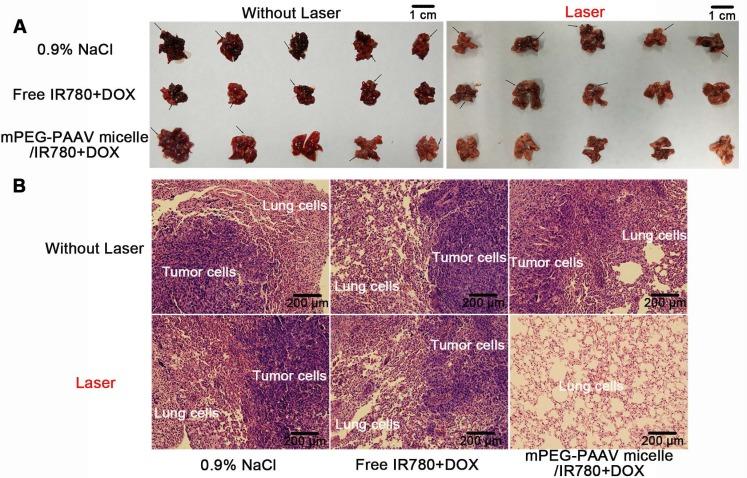 https://cdn.ncbi.nlm.nih.gov/pmc/blobs/f9c0/6096383/0389ec892fb4/thnov08p4097g008.jpg