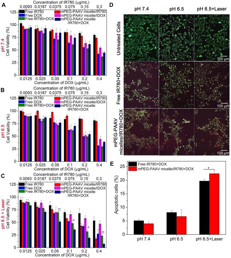 https://cdn.ncbi.nlm.nih.gov/pmc/blobs/f9c0/6096383/67f95dcd1205/thnov08p4097g004.jpg