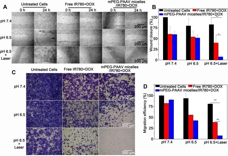 https://cdn.ncbi.nlm.nih.gov/pmc/blobs/f9c0/6096383/76bb1193cfdd/thnov08p4097g005.jpg
