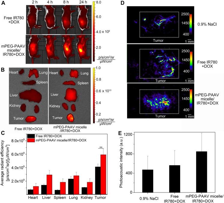 https://cdn.ncbi.nlm.nih.gov/pmc/blobs/f9c0/6096383/8fdacd318974/thnov08p4097g006.jpg