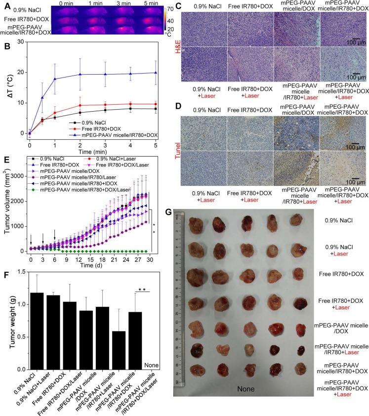 https://cdn.ncbi.nlm.nih.gov/pmc/blobs/f9c0/6096383/f8d01339612a/thnov08p4097g007.jpg
