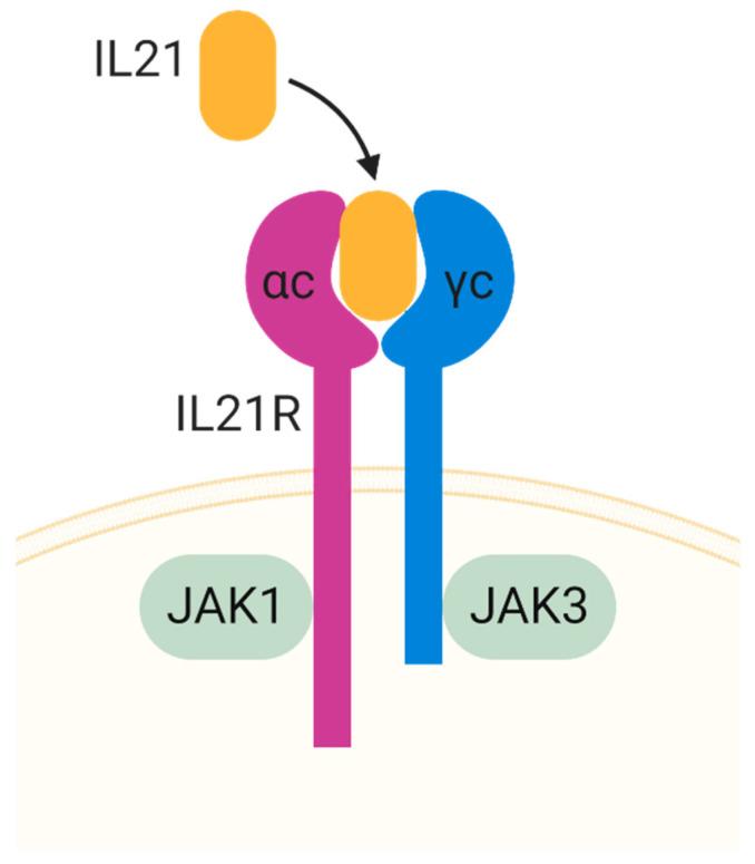 https://cdn.ncbi.nlm.nih.gov/pmc/blobs/f9c1/8147029/6a44077def5d/toxins-13-00315-g002.jpg