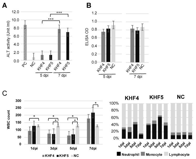 https://cdn.ncbi.nlm.nih.gov/pmc/blobs/f9c3/9607386/05b6ee1af8ce/viruses-14-02247-g007.jpg