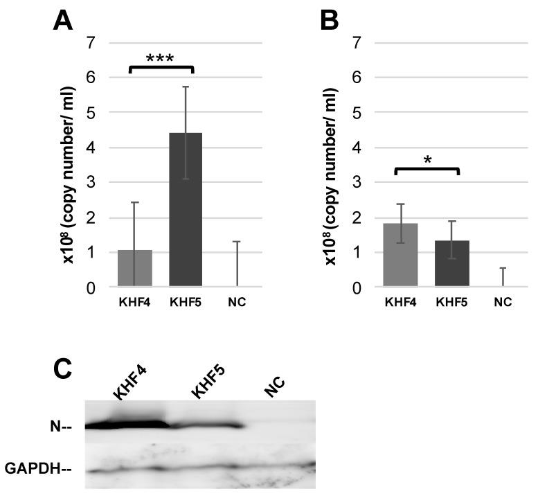 https://cdn.ncbi.nlm.nih.gov/pmc/blobs/f9c3/9607386/7341a8ad38f0/viruses-14-02247-g005.jpg