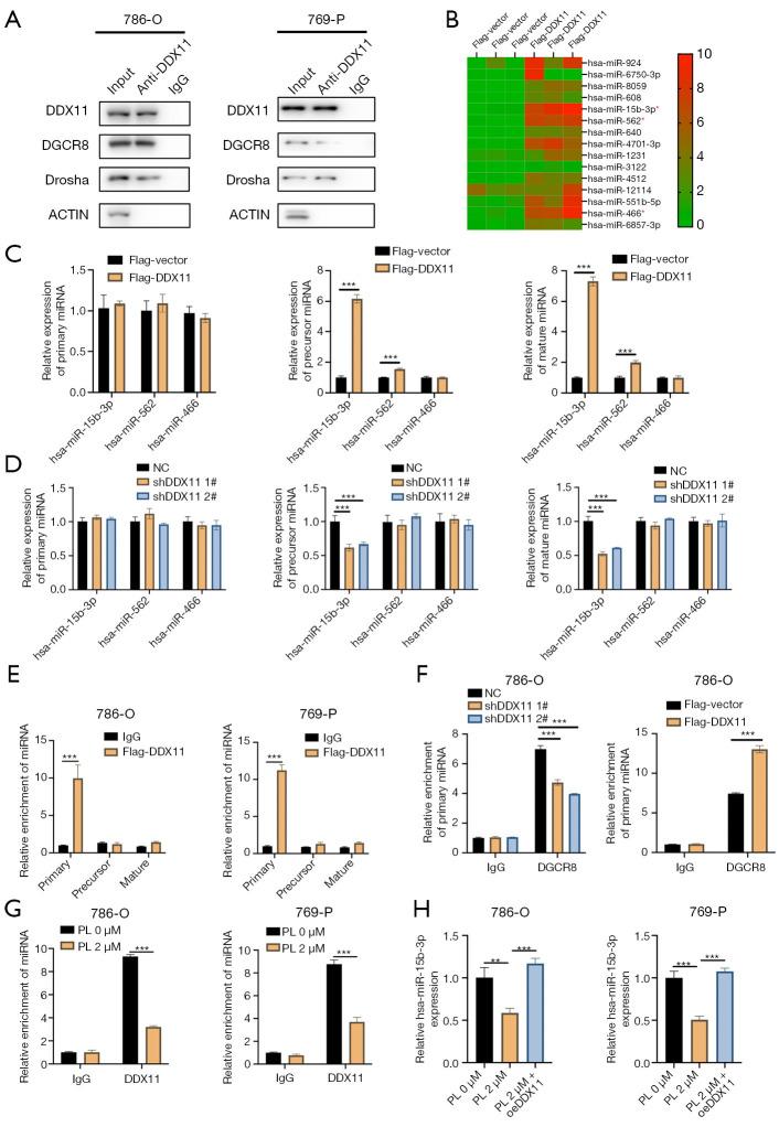 https://cdn.ncbi.nlm.nih.gov/pmc/blobs/f9c4/12076233/aa2f93932733/tau-14-04-897-f4.jpg
