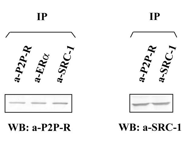 https://cdn.ncbi.nlm.nih.gov/pmc/blobs/f9c6/2843647/701a79c94408/1752-0509-4-14-7.jpg
