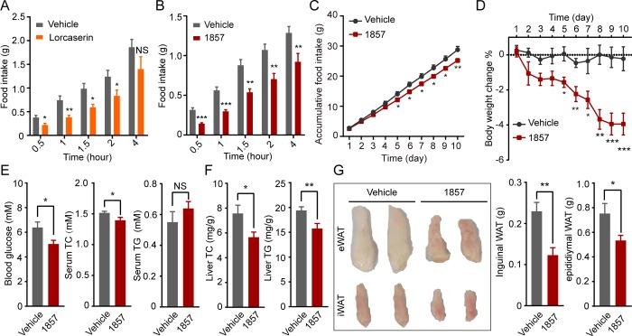 https://cdn.ncbi.nlm.nih.gov/pmc/blobs/f9cb/7047268/276aa305ebd6/oc9b01125_0005.jpg