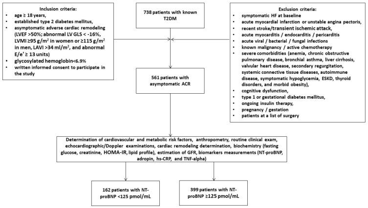 https://cdn.ncbi.nlm.nih.gov/pmc/blobs/f9cc/11353117/fbd61ebbd419/diagnostics-14-01728-g001.jpg