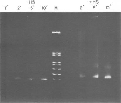 https://cdn.ncbi.nlm.nih.gov/pmc/blobs/f9ce/339769/5c09c3639f0a/nar00277-0154-a.jpg