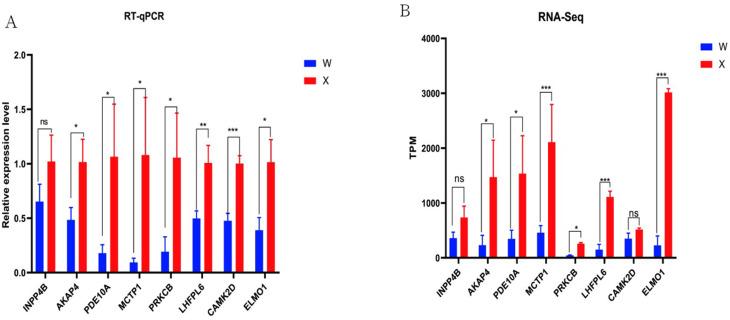 https://cdn.ncbi.nlm.nih.gov/pmc/blobs/f9d0/12143060/89bbed2abae3/12864_2025_11732_Fig7_HTML.jpg