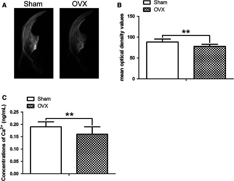 https://cdn.ncbi.nlm.nih.gov/pmc/blobs/f9d0/4544579/3d9d571235d1/10735_2013_9533_Fig3_HTML.jpg
