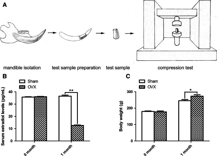 https://cdn.ncbi.nlm.nih.gov/pmc/blobs/f9d0/4544579/5eb7f0a580d8/10735_2013_9533_Fig1_HTML.jpg