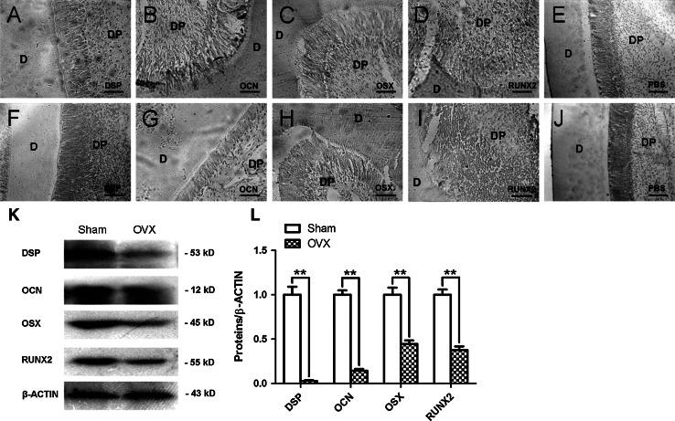 https://cdn.ncbi.nlm.nih.gov/pmc/blobs/f9d0/4544579/7be85bf0b15f/10735_2013_9533_Fig5_HTML.jpg