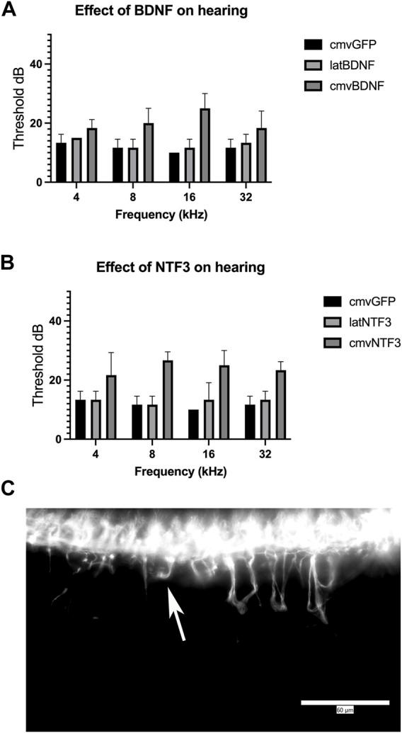 https://cdn.ncbi.nlm.nih.gov/pmc/blobs/f9d1/9204055/695958d5797f/fbioe-10-892969-g004.jpg