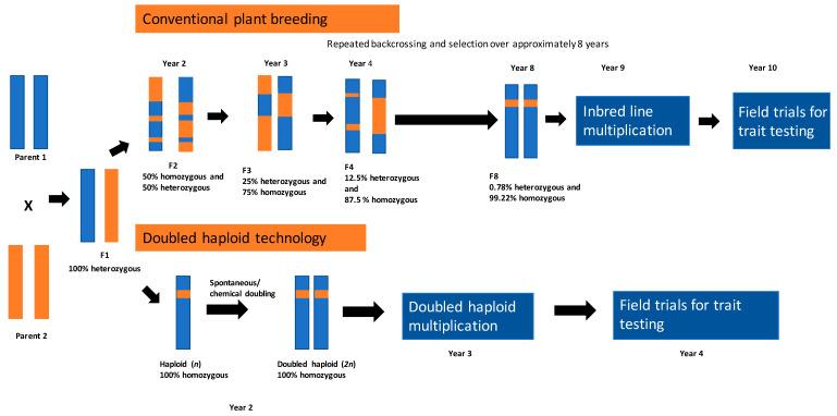 https://cdn.ncbi.nlm.nih.gov/pmc/blobs/f9d2/9921946/6e3d03811a01/plants-12-00485-g001.jpg