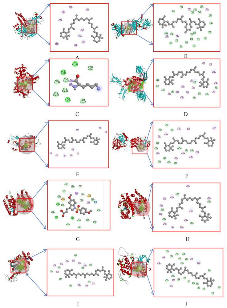 https://cdn.ncbi.nlm.nih.gov/pmc/blobs/f9d3/10673508/c0429c6e3f72/molecules-28-07540-g009.jpg