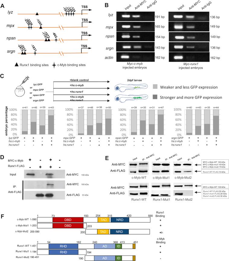 https://cdn.ncbi.nlm.nih.gov/pmc/blobs/f9d7/7948814/1d03778ba1fc/gr4.jpg