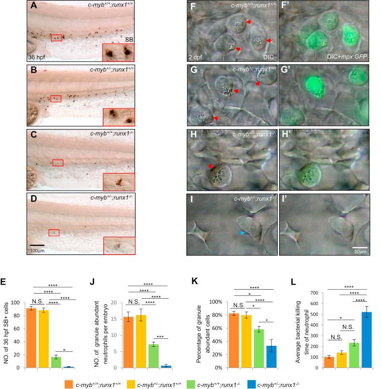 https://cdn.ncbi.nlm.nih.gov/pmc/blobs/f9d7/7948814/8e3b9c9134fc/gr2.jpg
