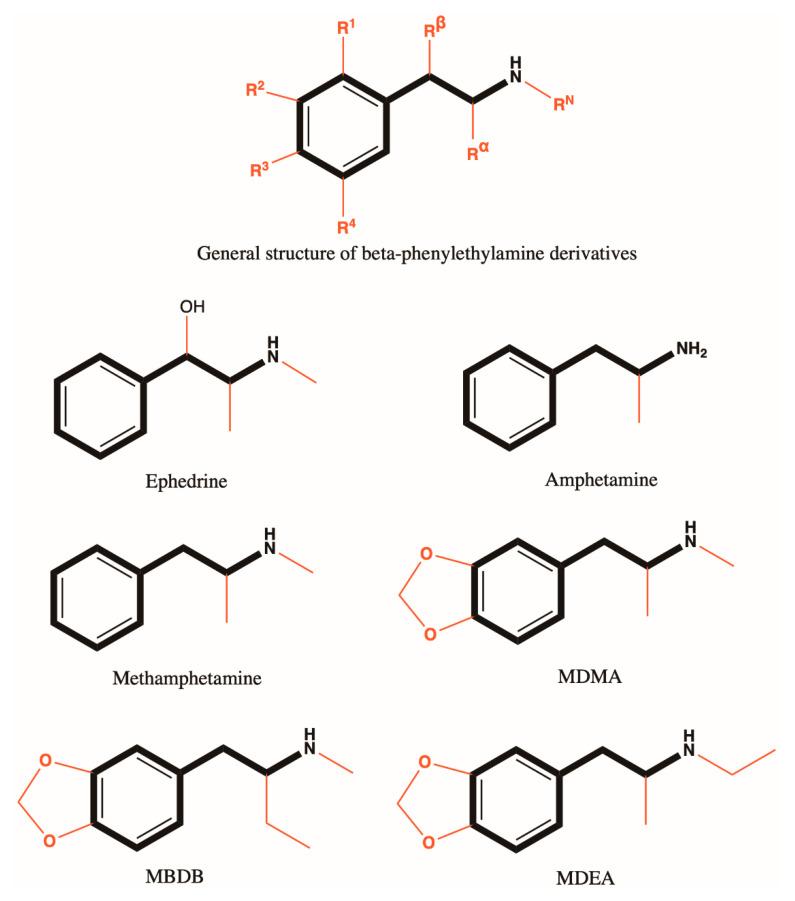 https://cdn.ncbi.nlm.nih.gov/pmc/blobs/f9d8/8000782/86ba5c056fc5/antioxidants-10-00381-g002.jpg
