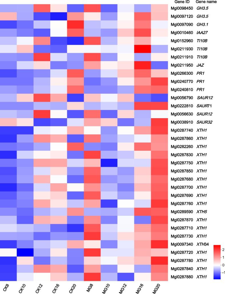 https://cdn.ncbi.nlm.nih.gov/pmc/blobs/f9da/11572361/807dd88df2d3/12864_2024_10989_Fig5_HTML.jpg