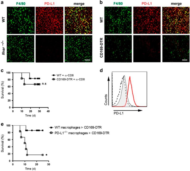 https://cdn.ncbi.nlm.nih.gov/pmc/blobs/f9db/5260878/98bd2418084c/cddis2016350f4.jpg