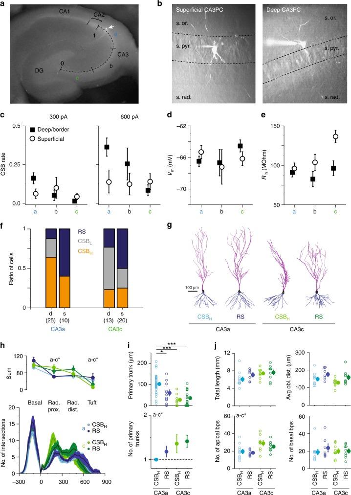 https://cdn.ncbi.nlm.nih.gov/pmc/blobs/f9db/6478939/221ab58c4a5c/41467_2019_9767_Fig5_HTML.jpg