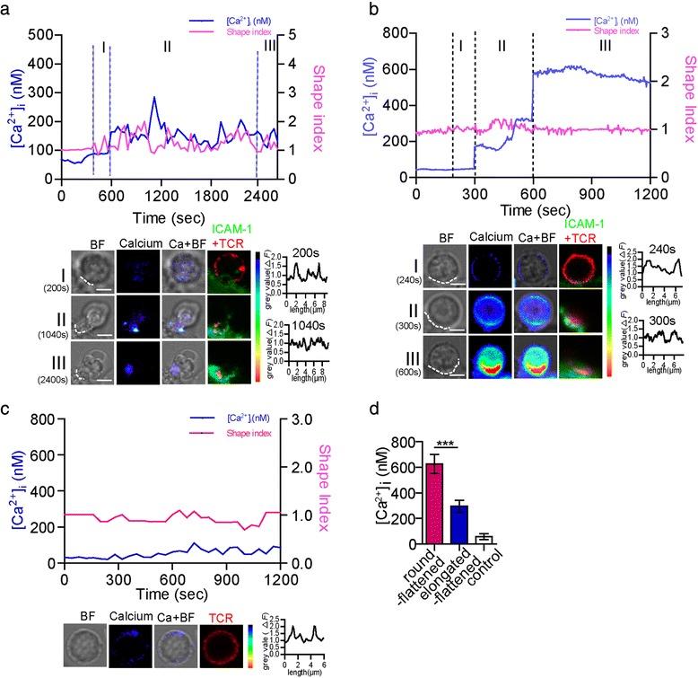 https://cdn.ncbi.nlm.nih.gov/pmc/blobs/f9dd/4549951/6cc8f3433047/12865_2015_108_Fig2_HTML.jpg