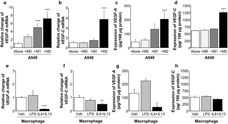 https://cdn.ncbi.nlm.nih.gov/pmc/blobs/f9df/7686699/cbea4161e9f0/12967_2020_2618_Fig5_HTML.jpg