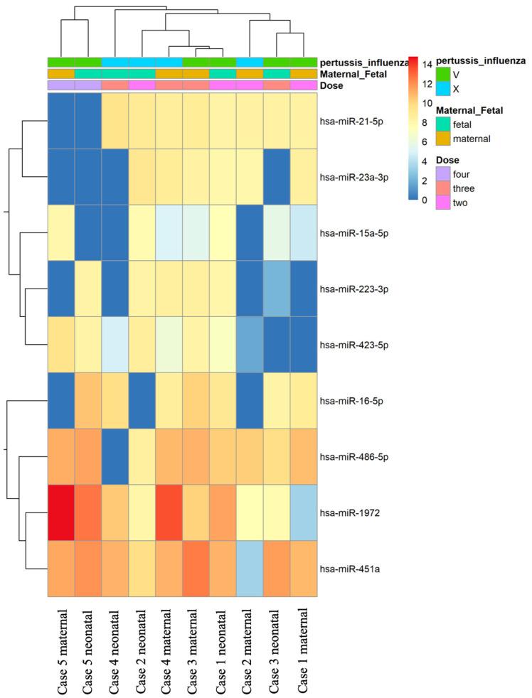 https://cdn.ncbi.nlm.nih.gov/pmc/blobs/f9e1/10747030/25517560c4bc/vaccines-11-01814-g002.jpg