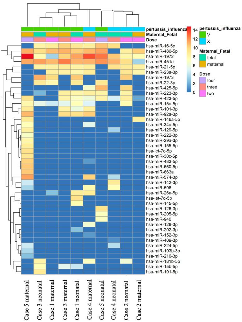 https://cdn.ncbi.nlm.nih.gov/pmc/blobs/f9e1/10747030/52b44810913a/vaccines-11-01814-g001.jpg