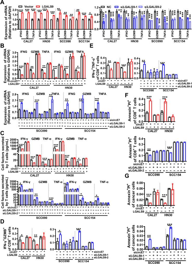 https://cdn.ncbi.nlm.nih.gov/pmc/blobs/f9e1/11452643/5399456862ce/41467_2024_52981_Fig2_HTML.jpg