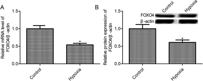 https://cdn.ncbi.nlm.nih.gov/pmc/blobs/f9e2/9070021/976b3e43c289/c9ra04380b-f1.jpg