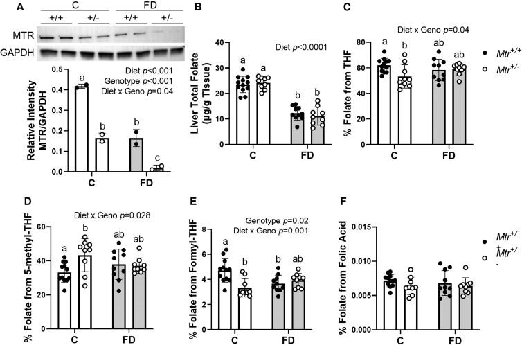 https://cdn.ncbi.nlm.nih.gov/pmc/blobs/f9e3/10109189/e2b67930fa92/pgad105f2.jpg
