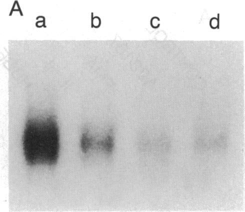https://cdn.ncbi.nlm.nih.gov/pmc/blobs/f9e3/298115/4fc4a5987551/pnas00286-0317-a.jpg